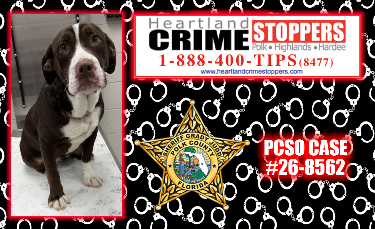 Crime Stoppers - animal cruelty