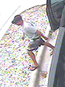 Ice theft Circle K suspect